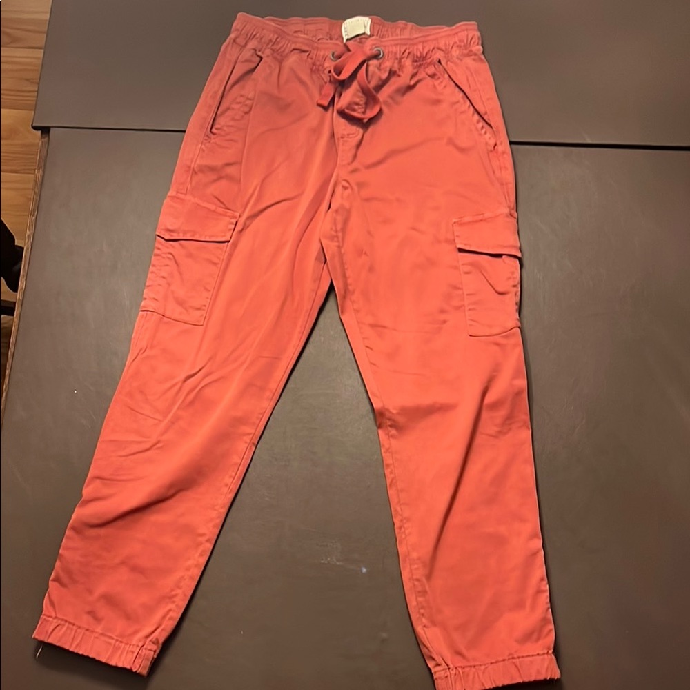 Sanctuary Red Cargo Pants with Elastic Waistband